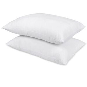 Home Design Down-Alternative 2-Pack Pillows, Standard/Queen